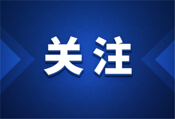格鲁吉亚计划于2023年上半年启动数字拉里试点