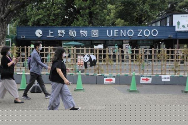 疫情后社会如何加强建设？日本超4成年轻人这样说