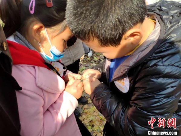沈阳落叶节开幕 打造别开生面的文旅盛会