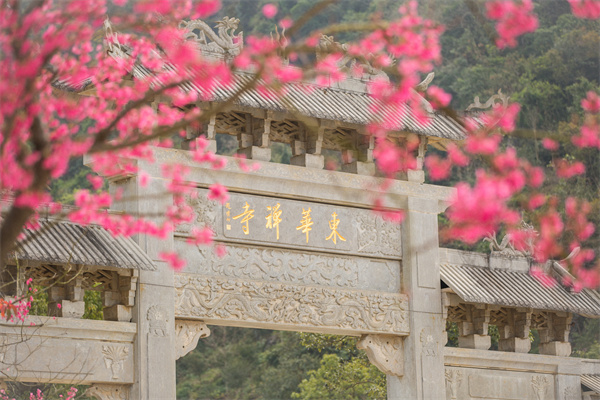 雲遊東華｜從牌坊出發　開啟東華禪寺獨特之旅