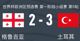 土耳其3-2格鲁吉亚