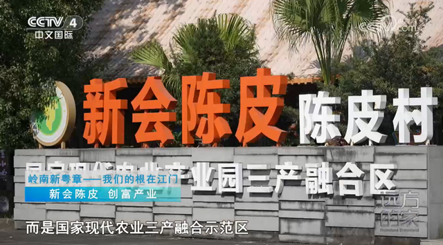 央视《远方的家》走进江门：山海寄乡愁，侨都焕新生